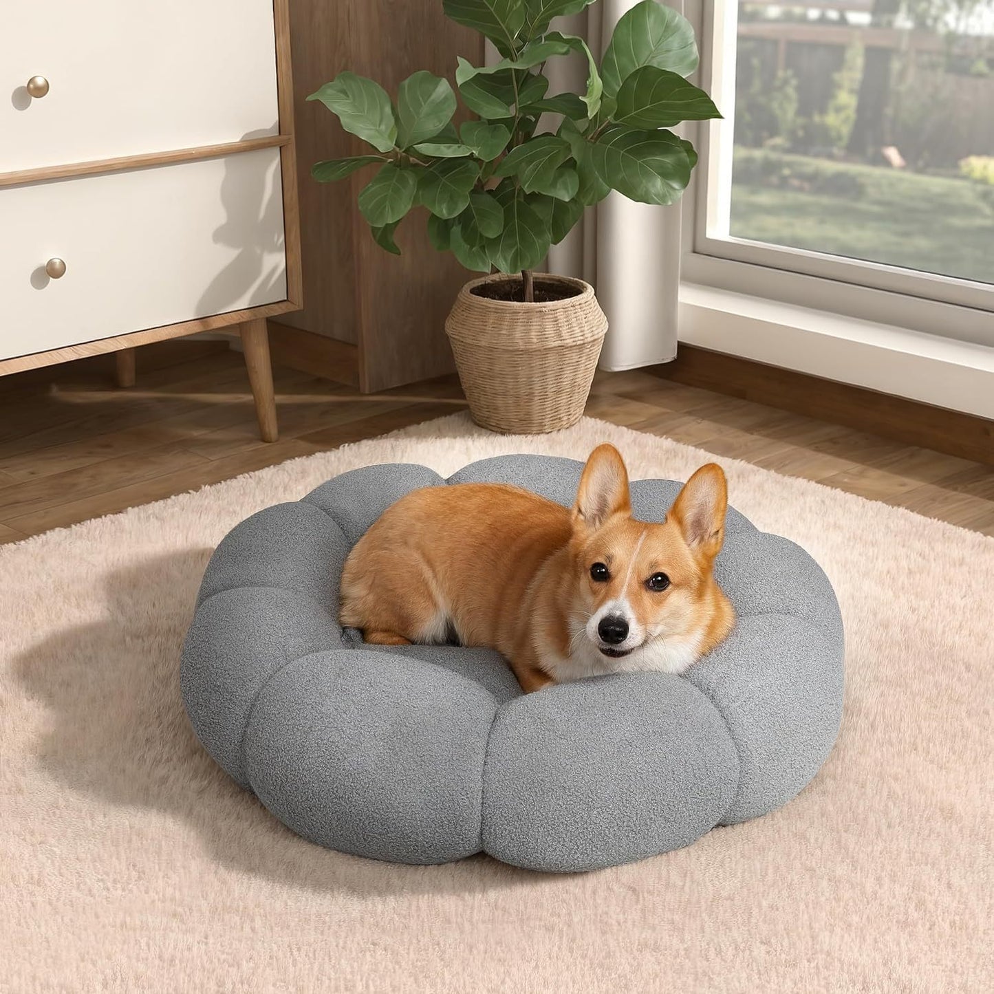 Calming Cat Beds For Indoor Cats Fluffy Flower Cat Dog Bed In Plush Teddy Sherpa Round Donut Cuddler Puppy Bed  Non Slip Machine Washable Pet Bed